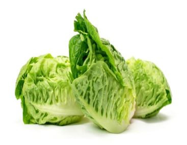PRODUCE LETTUCE LITTLE GEM Gx6